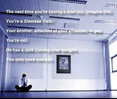 twin_bad_day.jpg